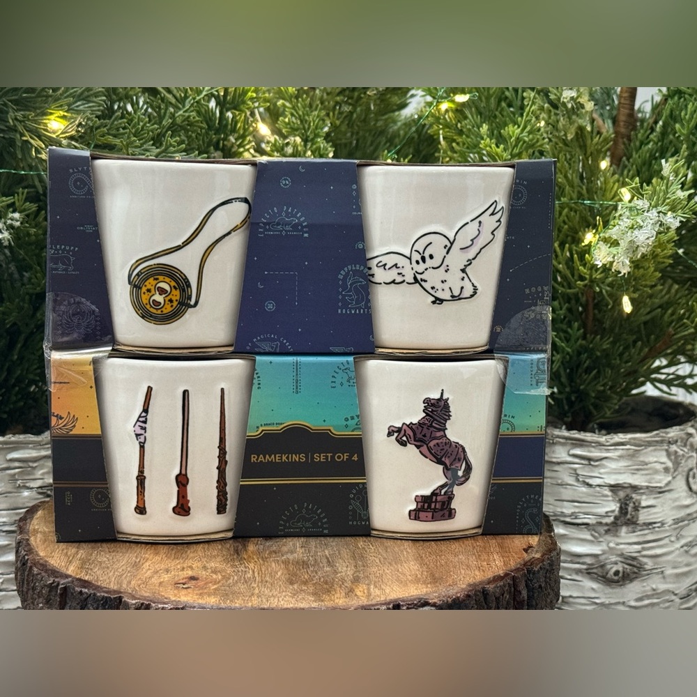 🪄Brand NEW w/Tags Rae Dunn Harry Potter Wizarding World 4 Piece Ramekin Set 🪄
